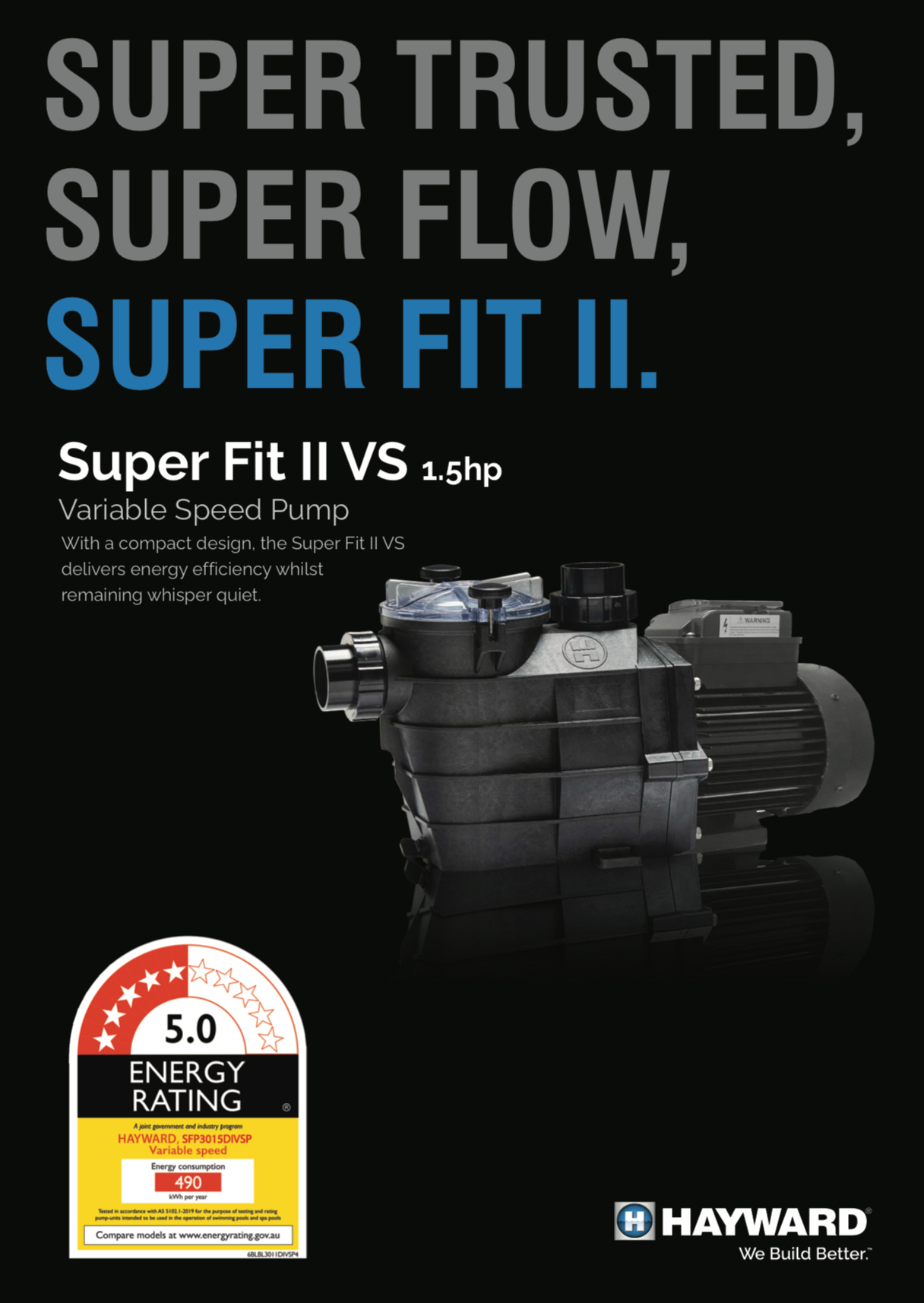 Hayward SuperFit II VS Pool Pump