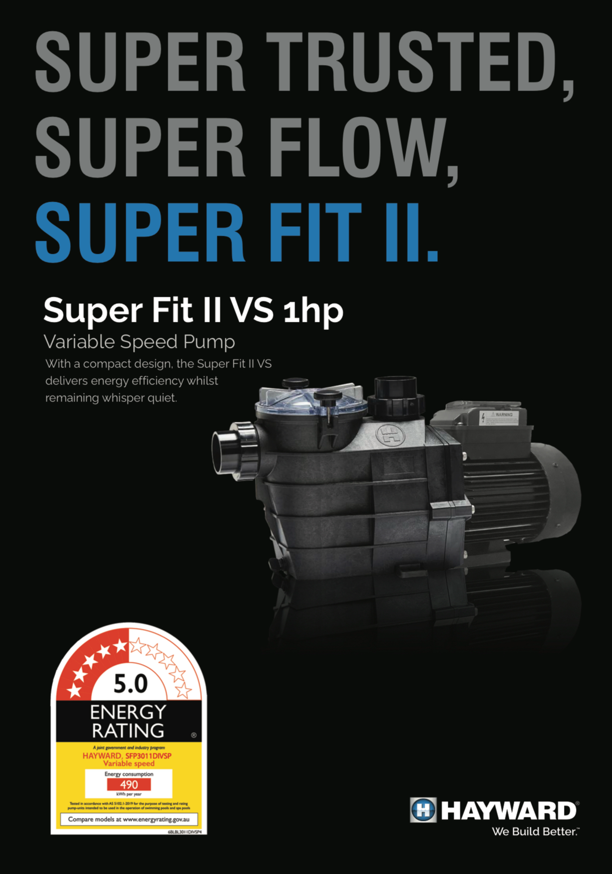 Hayward SuperFit II VS Pool Pump